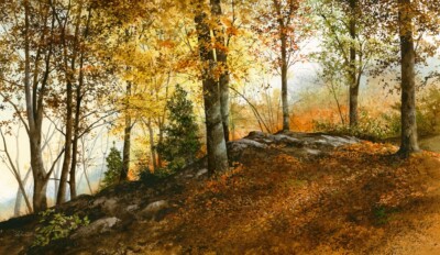 Up In The Woods, Ray Hendershot, Wall Decor Art Print Poster 11'' x 14'' 3288