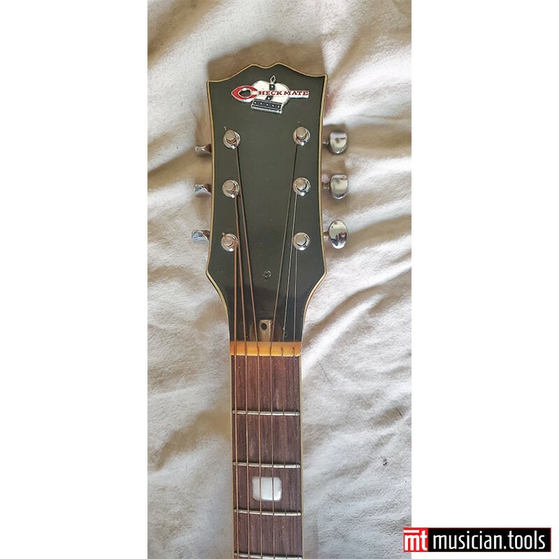 Rare Vintage Checkmate Acoustic Guitar G245 with case | eBay