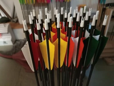 6 Stck. Bearpaw Penthalon Bandit Carbonpfeile 600, 700, 800, 900er Naturfedern