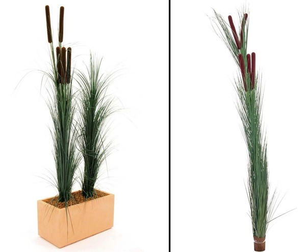 Schilfgras, Mit Binsen, DunkelgrüN, HöHe Ca. 152Cmvon Ibizanos-image