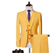 Men's Wedding Formal 3 Piece Coat Pants Vest Slim Fit Two Button Blazers Suit