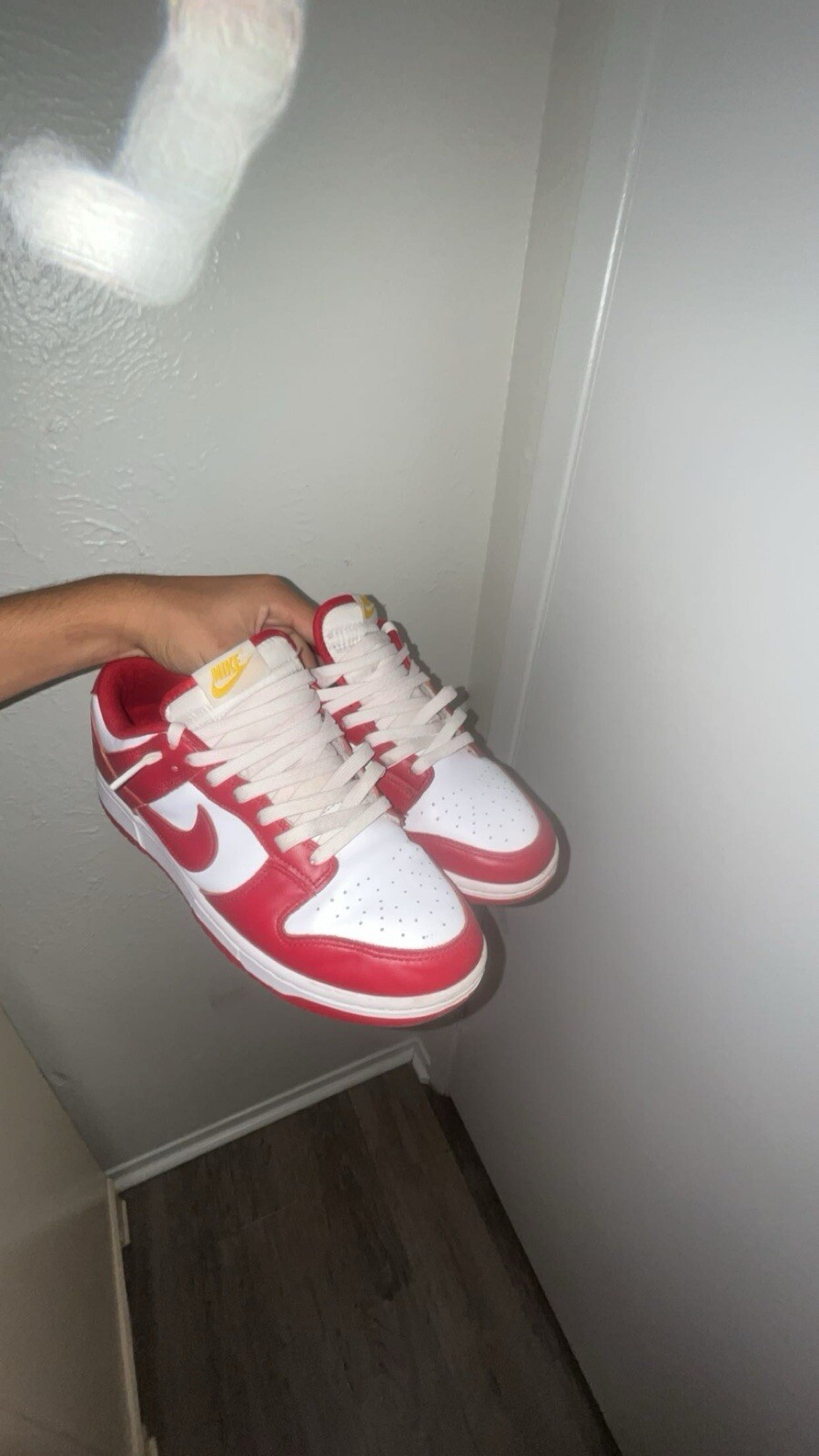 nike dunks - image 1