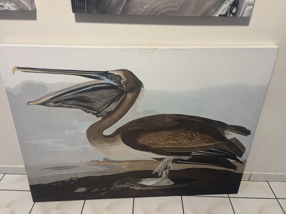 Obra de arte con impresión de pelícano John James Audubon Foto 3 de 4