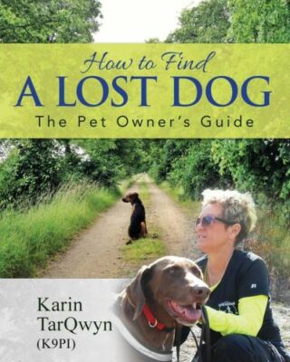 How To Find A Lost Dog: The Pet Owner's Guide