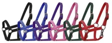 Small Pony Nylon Halter w/ Nickel Plated Hardware