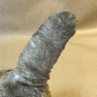 Bild 14 von 15