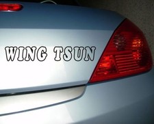 1 x  Wing Tsun  Aufkleber 130 mm -viele Farben