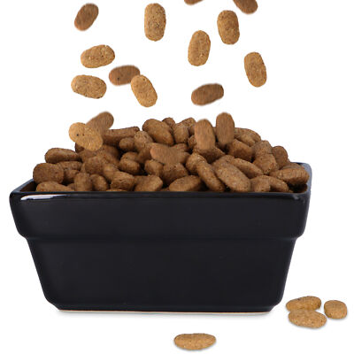 Keramik Slow Feeder Napf Quadratisch – Verlangsamt Fressen Bei Hunden, 20,3x20,3x4,1 Cm, Schwarz