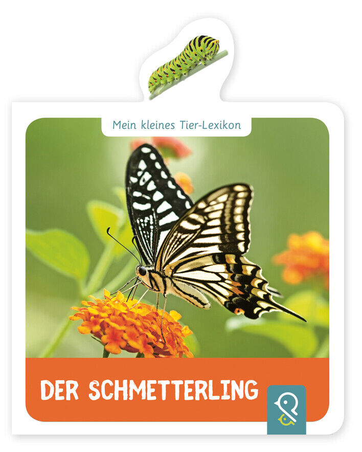 Thumbnail - Hannah Kastenhuber / Der Schmetterling