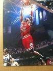 Autograph Michael Jordan 8x10 color photo w/coa
