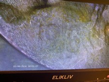 1916 Buffalo Nickel Lot of 4 Restored  Authentic Dates 4001