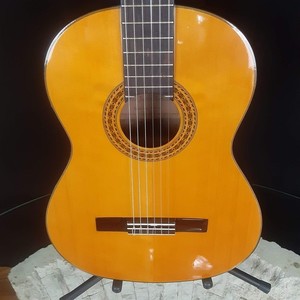 Ventura Bruno Guitar | eBay