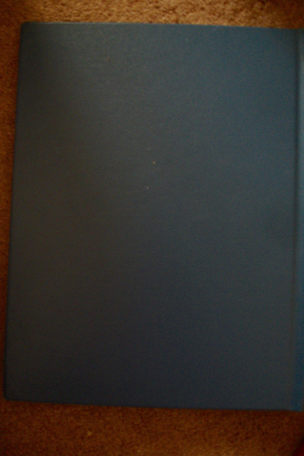 Picture 12 of 12