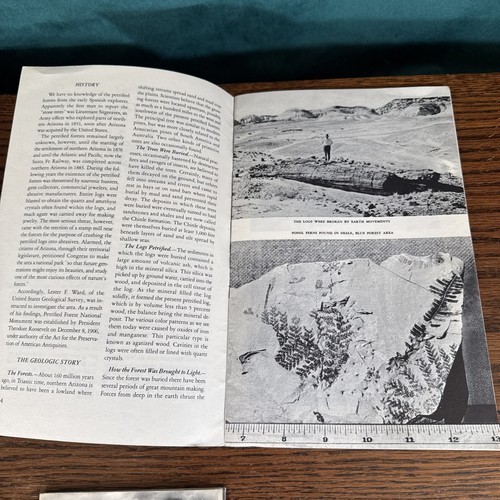 Vintage Souvenir Pamphlets Grand Canyon Alaska Petrified Forest Arizona - Picture 10 of 17