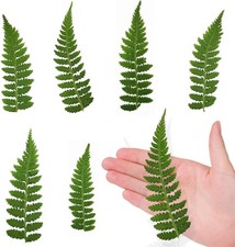 ALJ 42PCS Pressed Dried Fern Leaves for Resin Crafts, Real Natural Dried Pres...