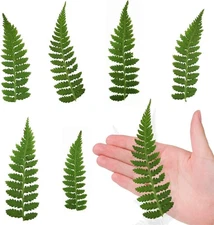 ALJ 42PCS Pressed Dried Fern Leaves for Resin Crafts, Real Natural Dried Pres...