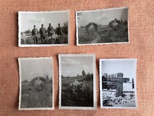 5 Fotos 2. Weltkrieg, Kriegsgräber
