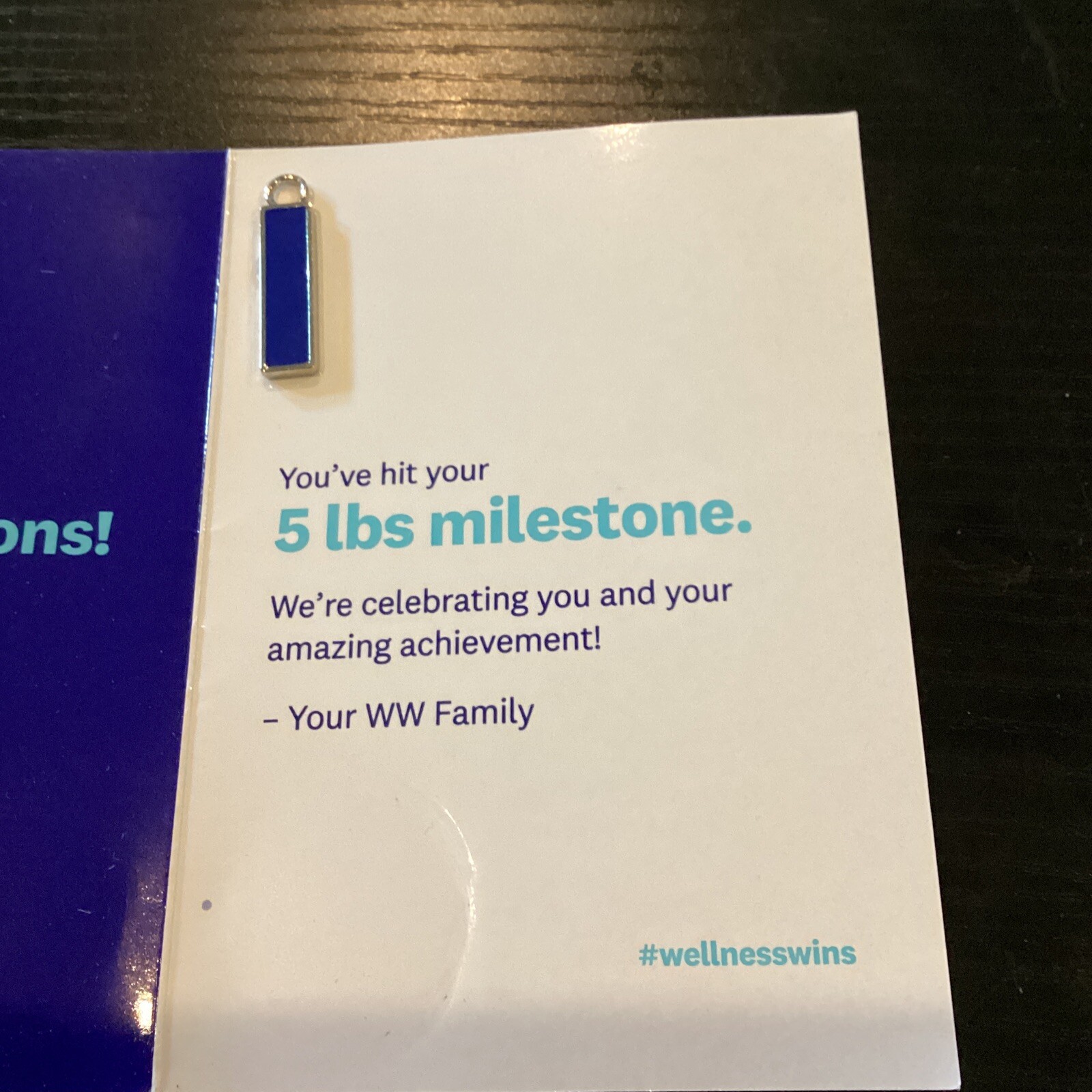 LOT OF 3 WW WEIGHT WATCHERS Charms w/Key Ring 5 Pd,10 Pound 15 Pound 2