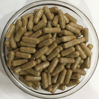 Löwenmähnenpilz 10:1 Extrakt Kapseln Hericium Erinaceus 50% Polysaccharid
