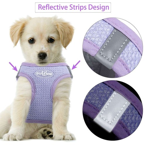 Soft Dog Harness and Leash set for Small Puppy Dogs Breathable Pet Walking Vest - Picture 5 of 15