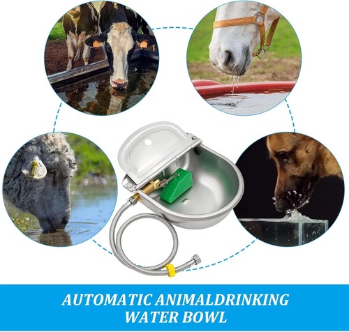 Distributore automatico di acqua per cani pollo irrigatore cane da esterno - Foto 4 di 5