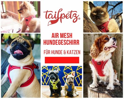 BAAPET Atmungsaktives Hundegeschirr Mit Leine – Step-in, Air-Mesh, Reflektierend, Größe XL