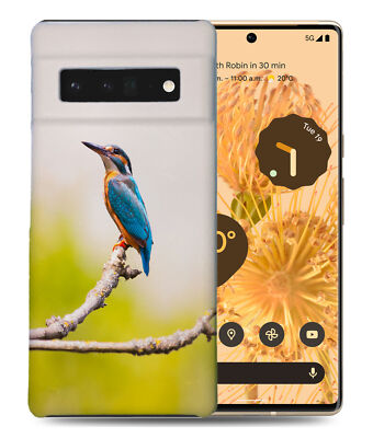 CASE COVER FOR GOOGLE PIXEL|CUTE ADORABLE SMALL BIRD #20