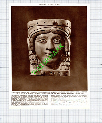 Professor M E Mallowan Nimrud Iraq Museum Baghdad Head - 1953 Cutting