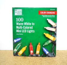 Home Accents 100 Color Changing Warm White Multi-Colored LED Lights Christmas