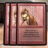 MtG card, 3x Hurr Jackal, Arabian Nights red summon prevent regeneration