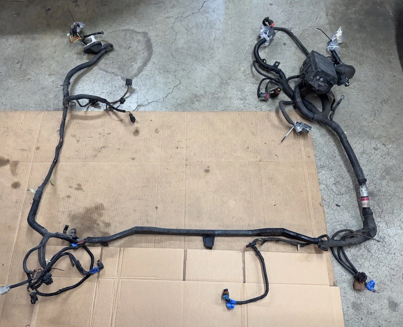 2006 Ford Ranger Engine BAY Front Body Wire Harness w/Fusebox OEM 6L5T-14290-ME