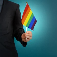 Rainbow Pride Flag 6x9 Inch 6" x 9" Hand Flag On Stick LGBTQ LGBTQIA