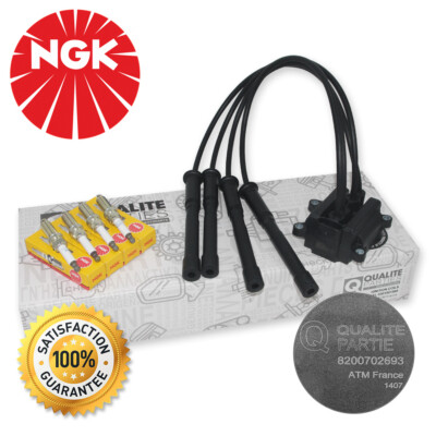 OEM ZÜNDSPULE + NGK ZÜNDKERZEN RENAULT CLIO 3 TWINGO MODUS 1.2 16V ZÜNDKABELSATZ