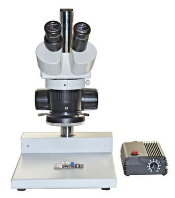 Professional Stereo Microscope 10× 80× 100 165 mm WD 56-LED Ring Light Flat Base