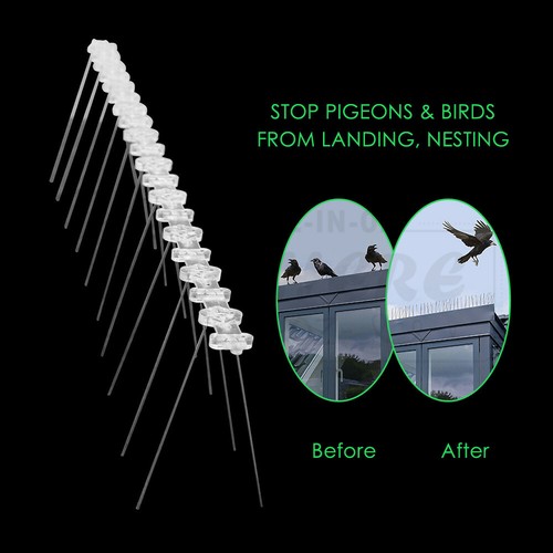 10x ANTI BIRD SPIKES 5 METRE Stainless Steel Polycarbonate Base Pigeon Deterrent - Picture 6 of 12