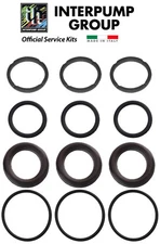 OEM Interpump General Pump Kit 141 SEAL PACKING KIT T & W series 18mm 3 set K141