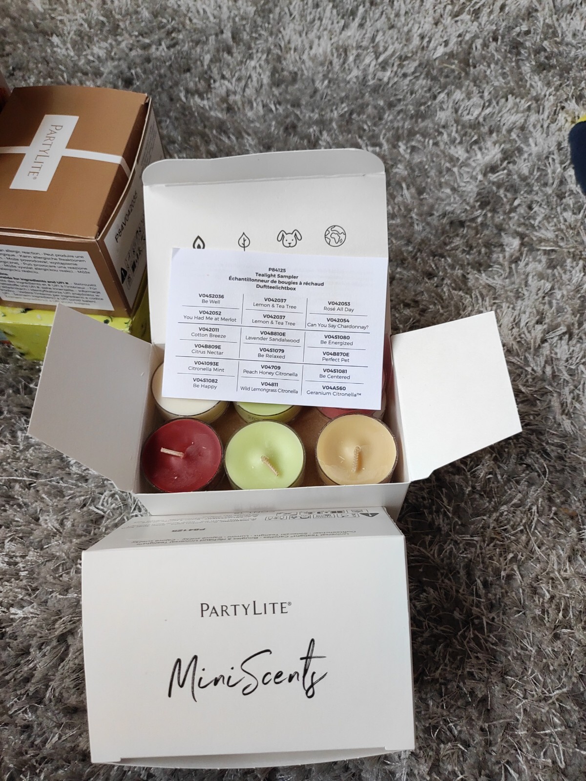 PartyLite SAMMLUNG eBay