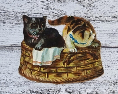 um 1900 Katzen Korb spielen süß Tier Glanzbild alt Prägedruck Ephemera Vintage