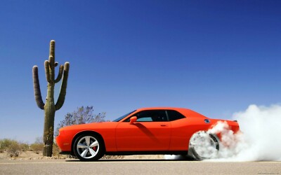 2018 DODGE CHALLENGER SRT HELLCAT BURNOUT (SIDE) POSTER 24 X 36 INCH SWEET