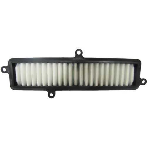 Hiflofiltro Air Filter Fits SUZUKI UH125 / UH200 BURGMAN (2007 to 2020) - Picture 1 of 2