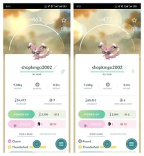 Shiny Fashionable Minccino - Read Description