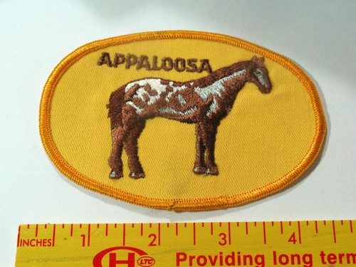 Appaloosa Horse Patch