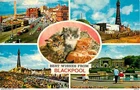 Postcard - Animals - Cats - UK - Blackpool - Multivview - Automobi