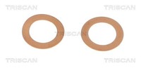Triscan Wasserpumpe 8600 10032 FüR Bmw CitroËN Ds Mini Peugeot