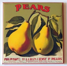 Pears FRIDGE MAGNET sign advertisement "style B"