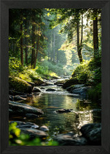 Forest River Framed Wall Art Poster Canvas Print Picture