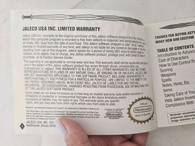 Astyanax NES Manual Solo Aut&eacute;ntico Original Nintendo