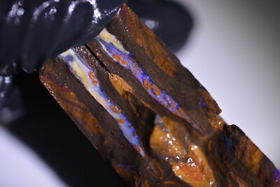 98ct(40+58) 40x20x10 Nice Koroit Pipe Opal Split Pair Rohstein Australia Gem