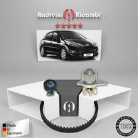 Set Vertrieb + Wasserpumpe Peugeot 207 1.4 54KW 73CV 2008->