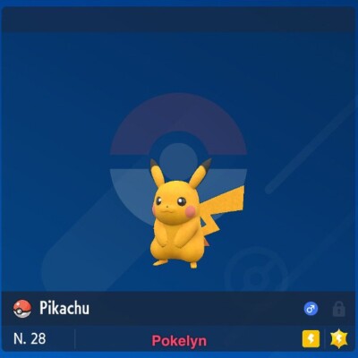 Pack Starter Pokémon Shiny LV100 6IV Pour Écarlate/Violet Sur Switch - Avec Objet Au Choix